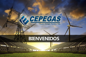 CEPEGAS